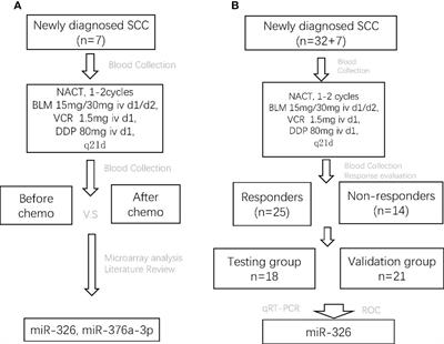 Circulating miR-326 could serve as a predictive biomarker for response to neoadjuvant chemotherapy in locally advanced cervical cancer